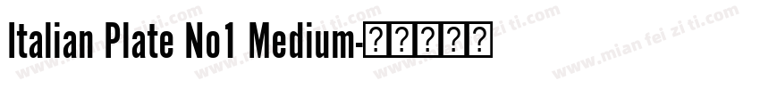Italian Plate No1 Medium字体转换